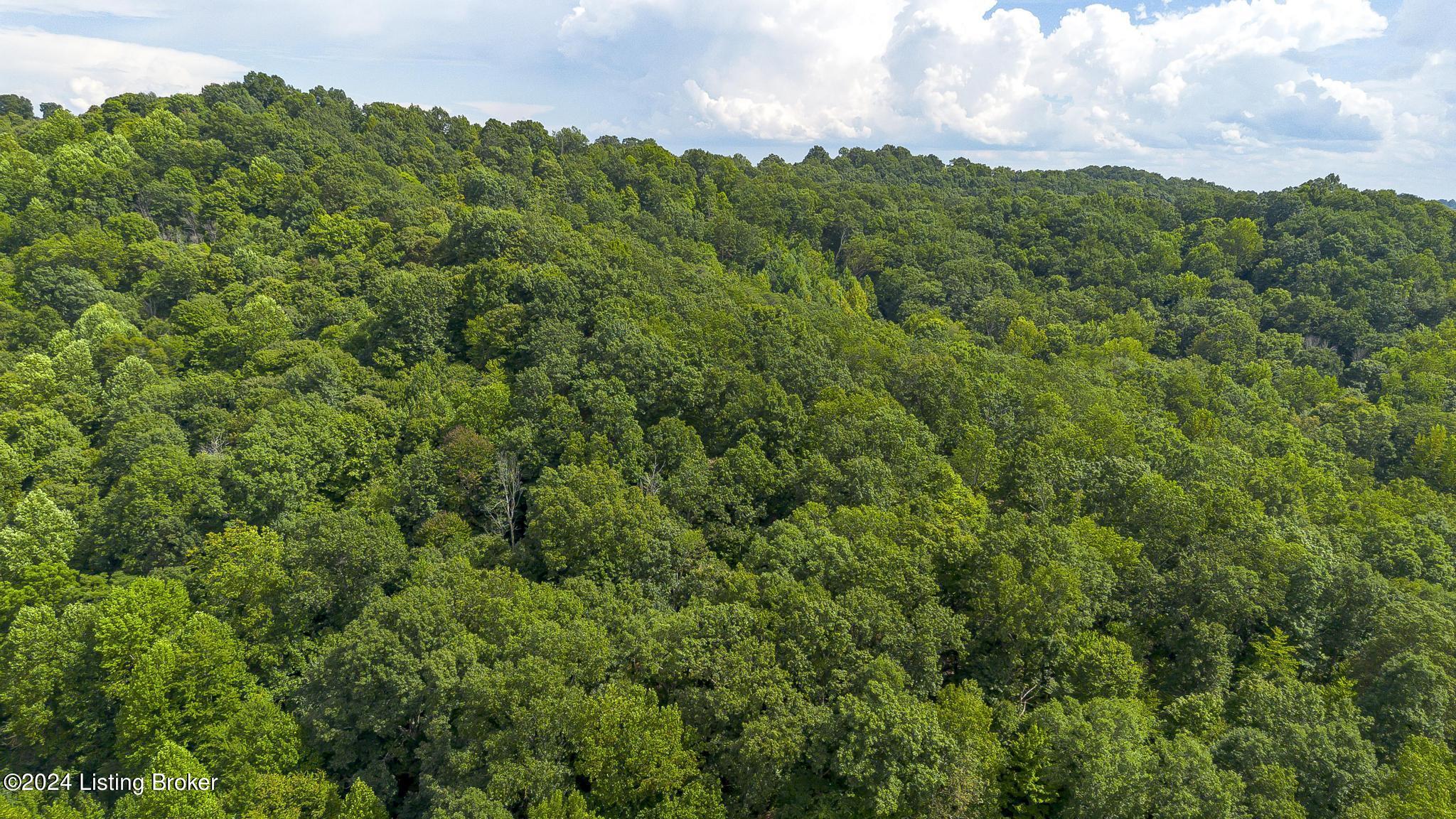 12901 Saw Mill Road Louisville, KY 40272 - Photo 46 of 58 12901_SawMillRd_40272_0904