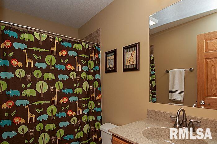 16764 Hunters Ridge Road Fulton, IL 61252 - Photo 17 of 22