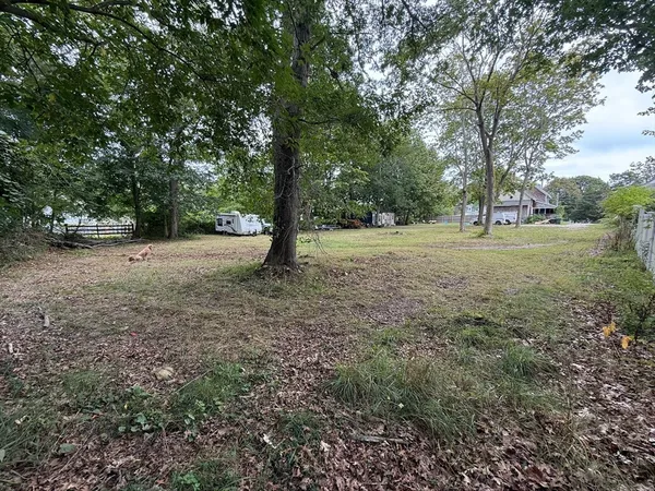 a view of a yard with a tree