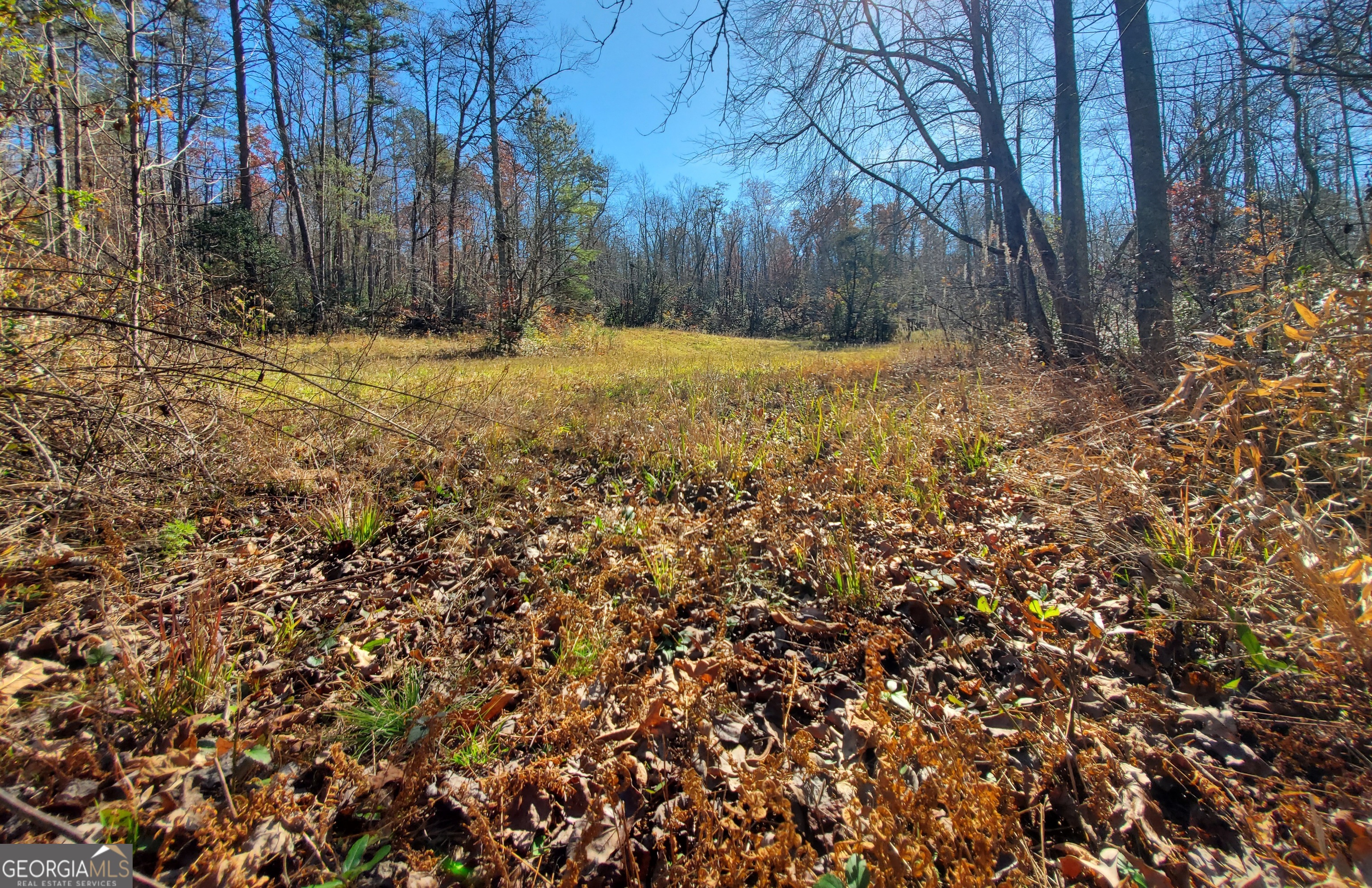 1116 Cody Road Mount Airy, GA 30563 - Photo 28 of 39