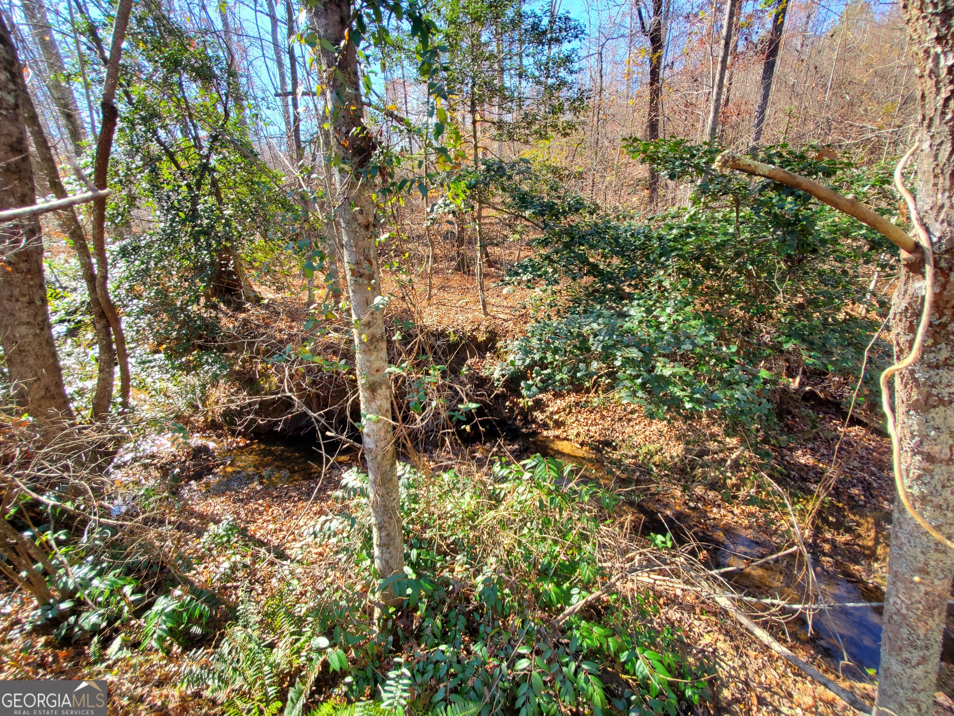 1116 Cody Road Mount Airy, GA 30563 - Photo 29 of 39 Creek