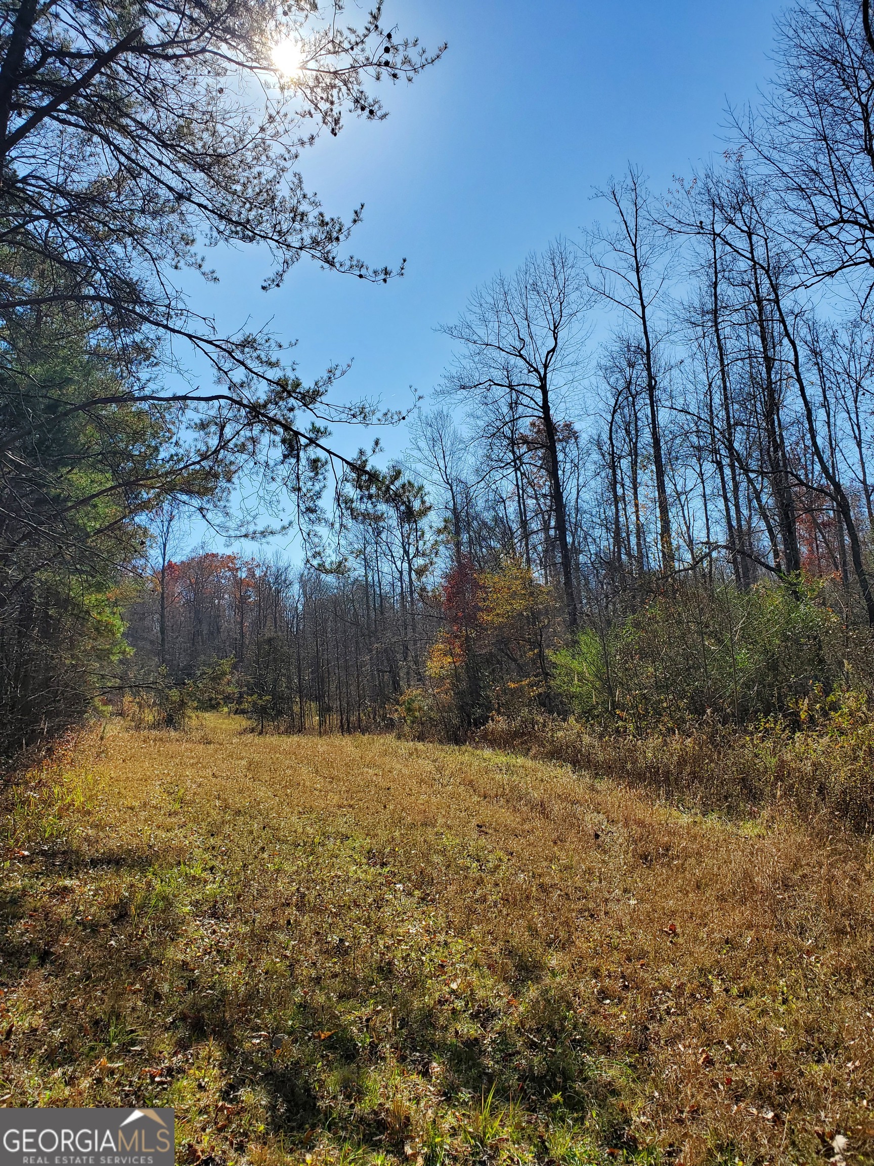 1116 Cody Road Mount Airy, GA 30563 - Photo 32 of 39