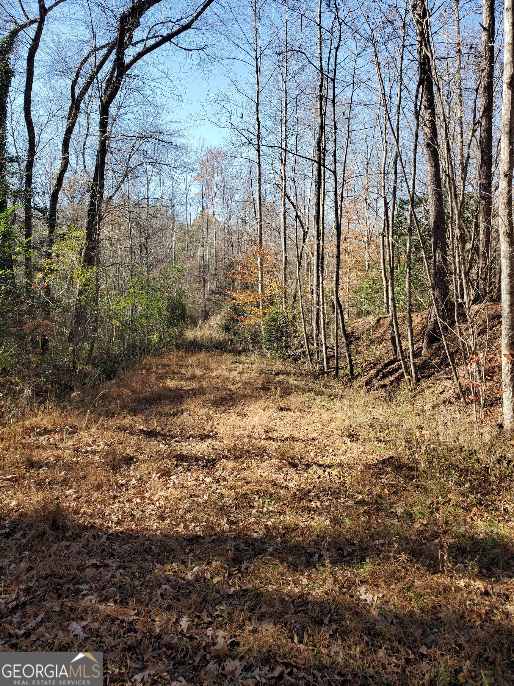 1116 Cody Road Mount Airy, GA 30563 - Photo 33 of 39 Old road bed with separate entrance to fields