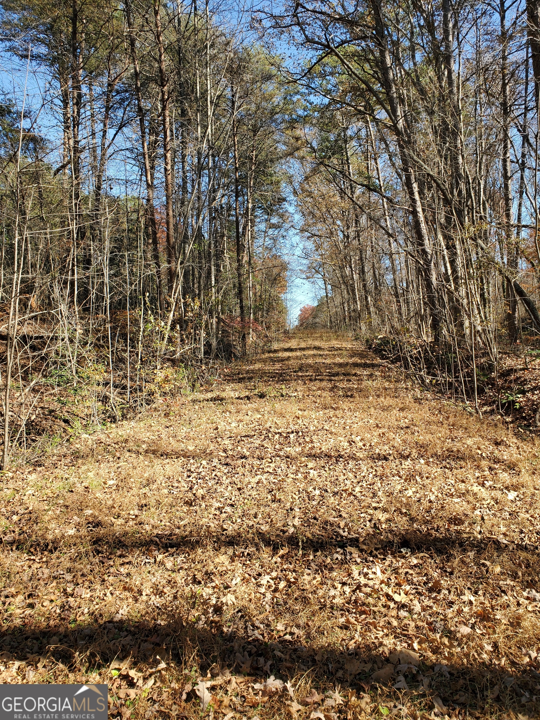 1116 Cody Road Mount Airy, GA 30563 - Photo 34 of 39 Old Road bed out of fields