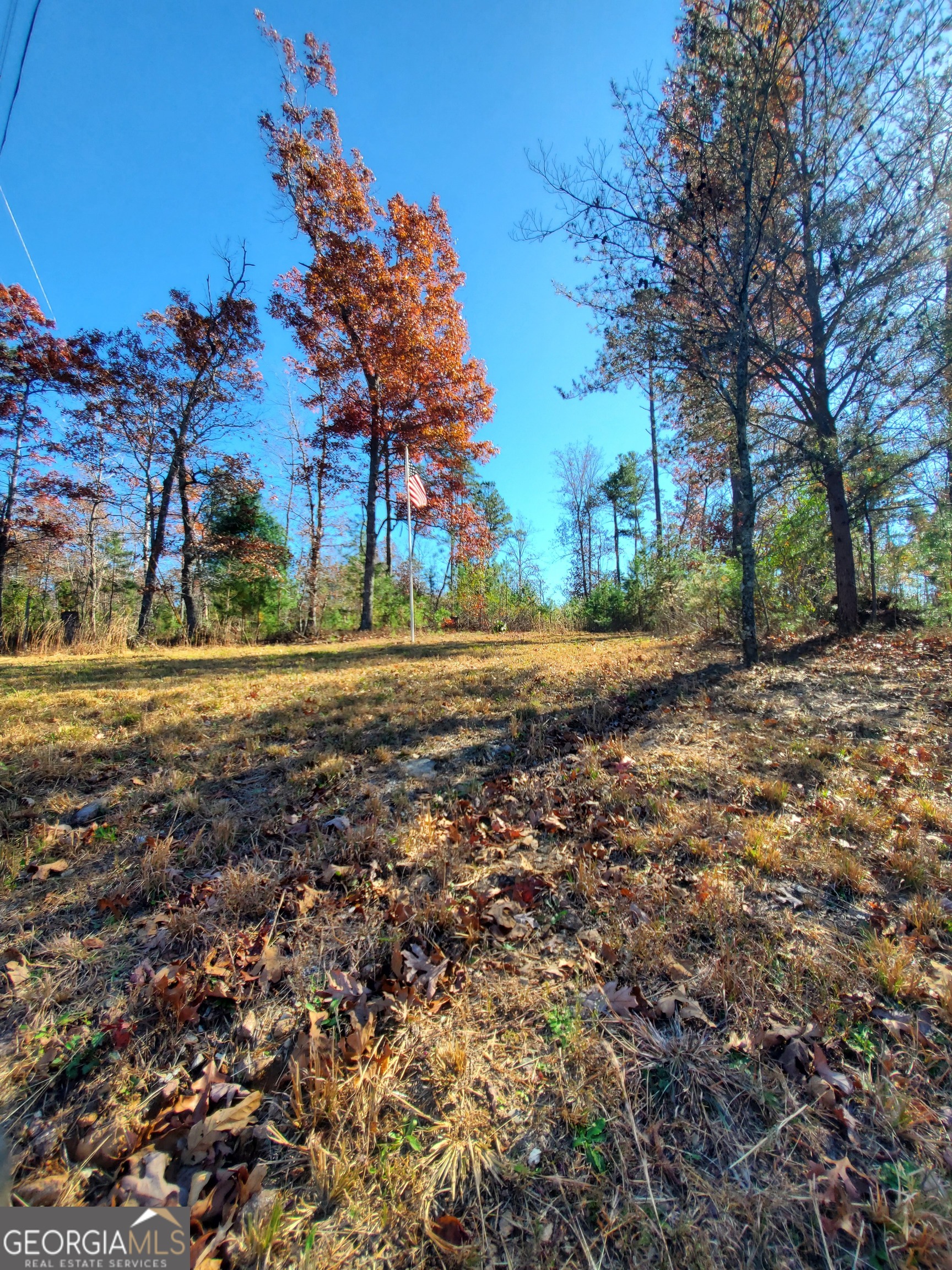 1116 Cody Road Mount Airy, GA 30563 - Photo 38 of 39 Top of driveway