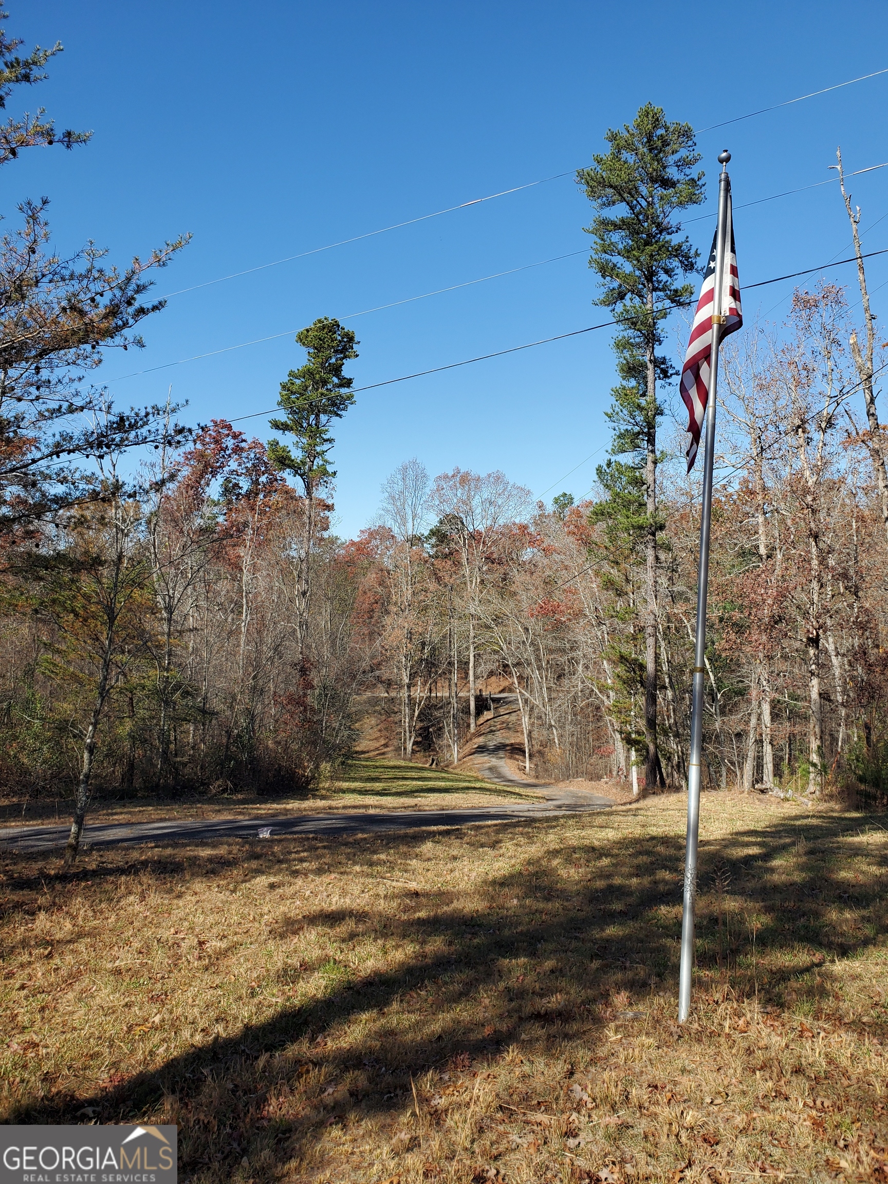 1116 Cody Road Mount Airy, GA 30563 - Photo 39 of 39 Driveway going out from home & shop