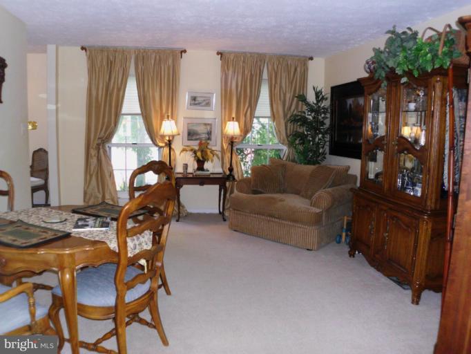 208 Alpine Meadow Road Winchester, VA 22602 - Photo 1 of 12 Living Room
