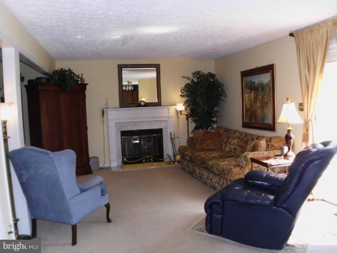 208 Alpine Meadow Road Winchester, VA 22602 - Photo 4 of 12 Family Room