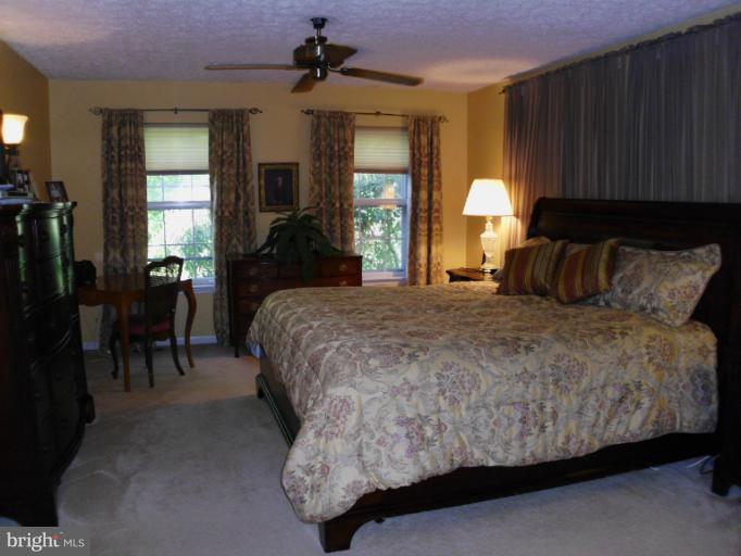 208 Alpine Meadow Road Winchester, VA 22602 - Photo 10 of 12 Bedroom (Master)