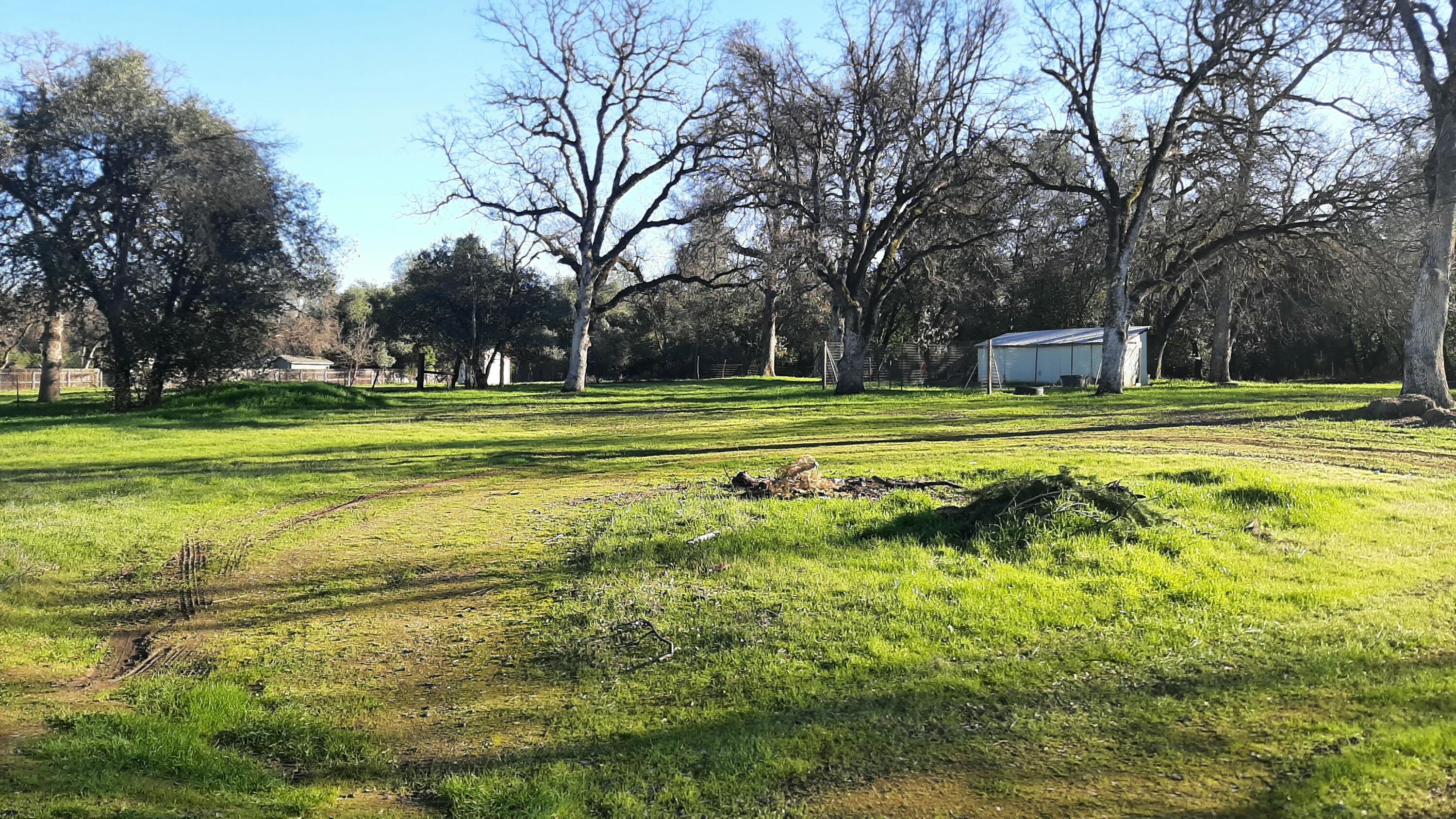 17185 Bowman Road Cottonwood, CA 96022 - Photo 18 of 30 EXT 17185 BOWMAN RD