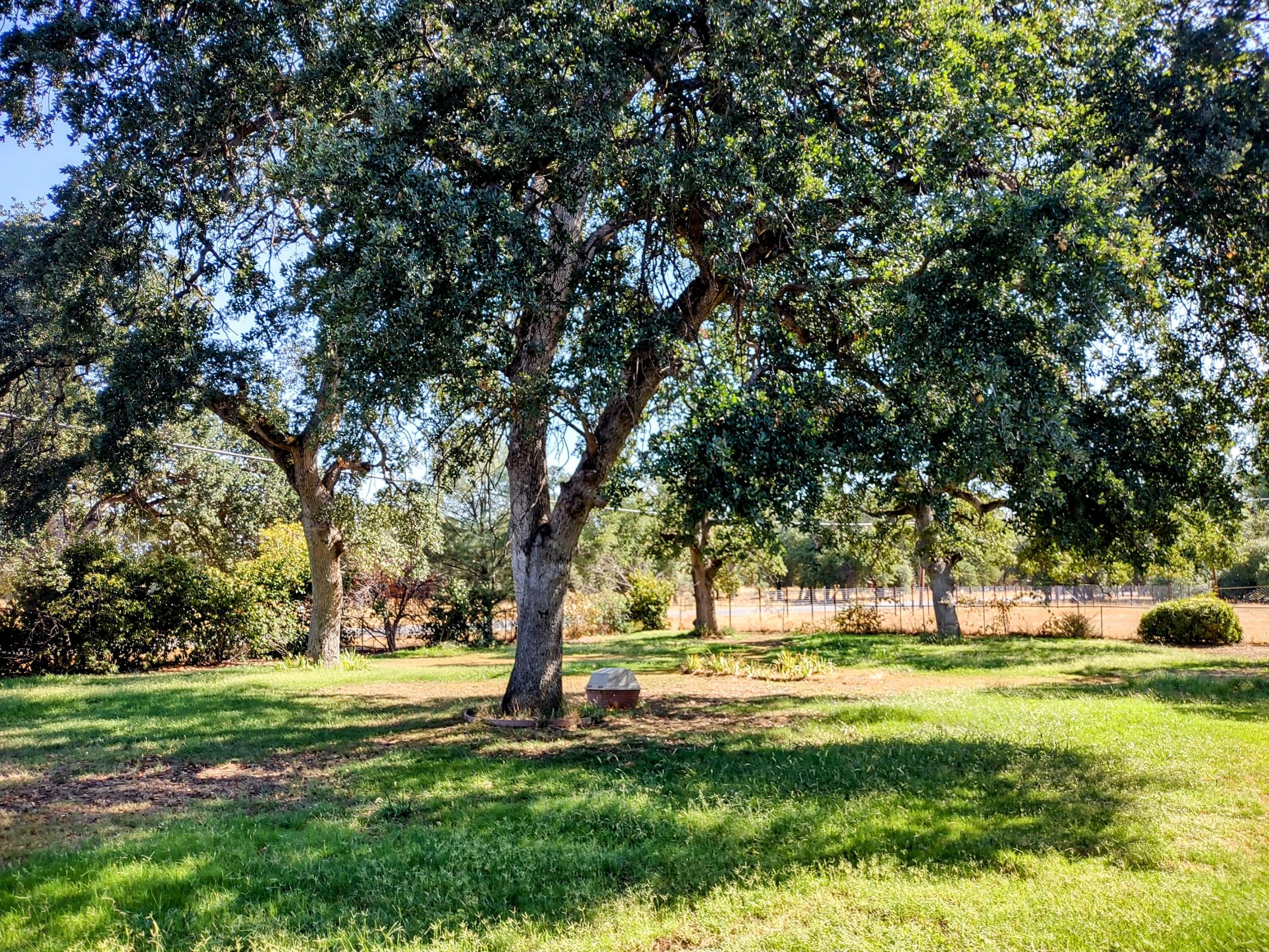 17185 Bowman Road Cottonwood, CA 96022 - Photo 3 of 30 17185 BOWMAN RD