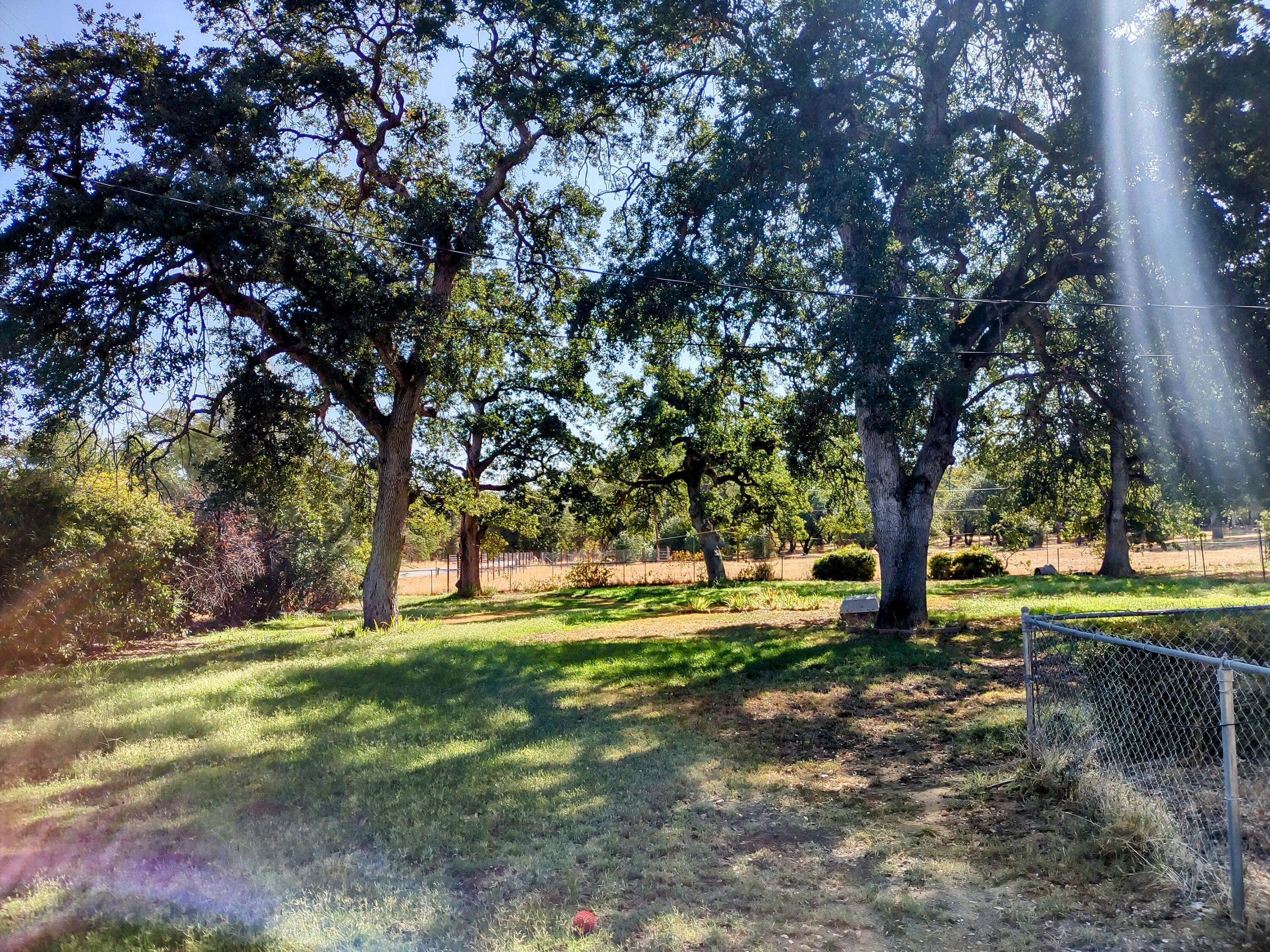 17185 Bowman Road Cottonwood, CA 96022 - Photo 7 of 30 17185 BOWMAN RD