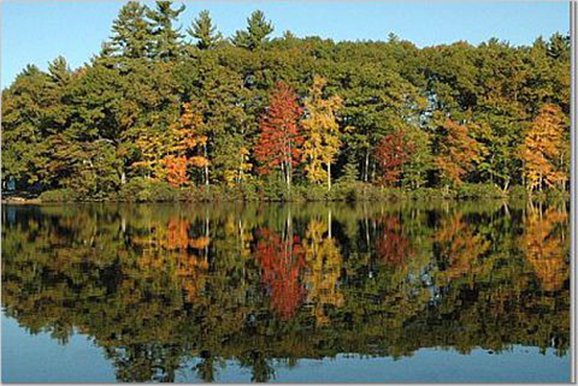15 Upper Camp Road, Unit 46 Northwood, NH 03261 - Photo 12 of 45 Gallery Image 12