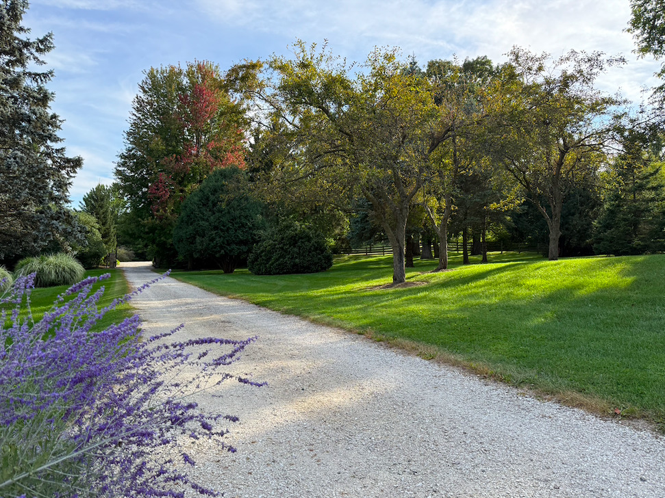 14028 Nichols Road Hebron, IL 60034 - Photo 4 of 94 a view of a park with large trees