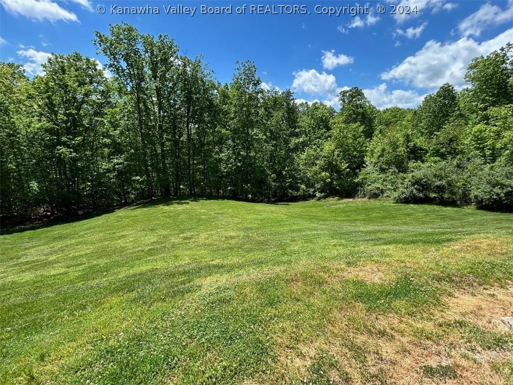 101 Lively Road South Charleston, WV 25309 - Photo 37 of 37 Large backyard could be terraced or room for a pool.