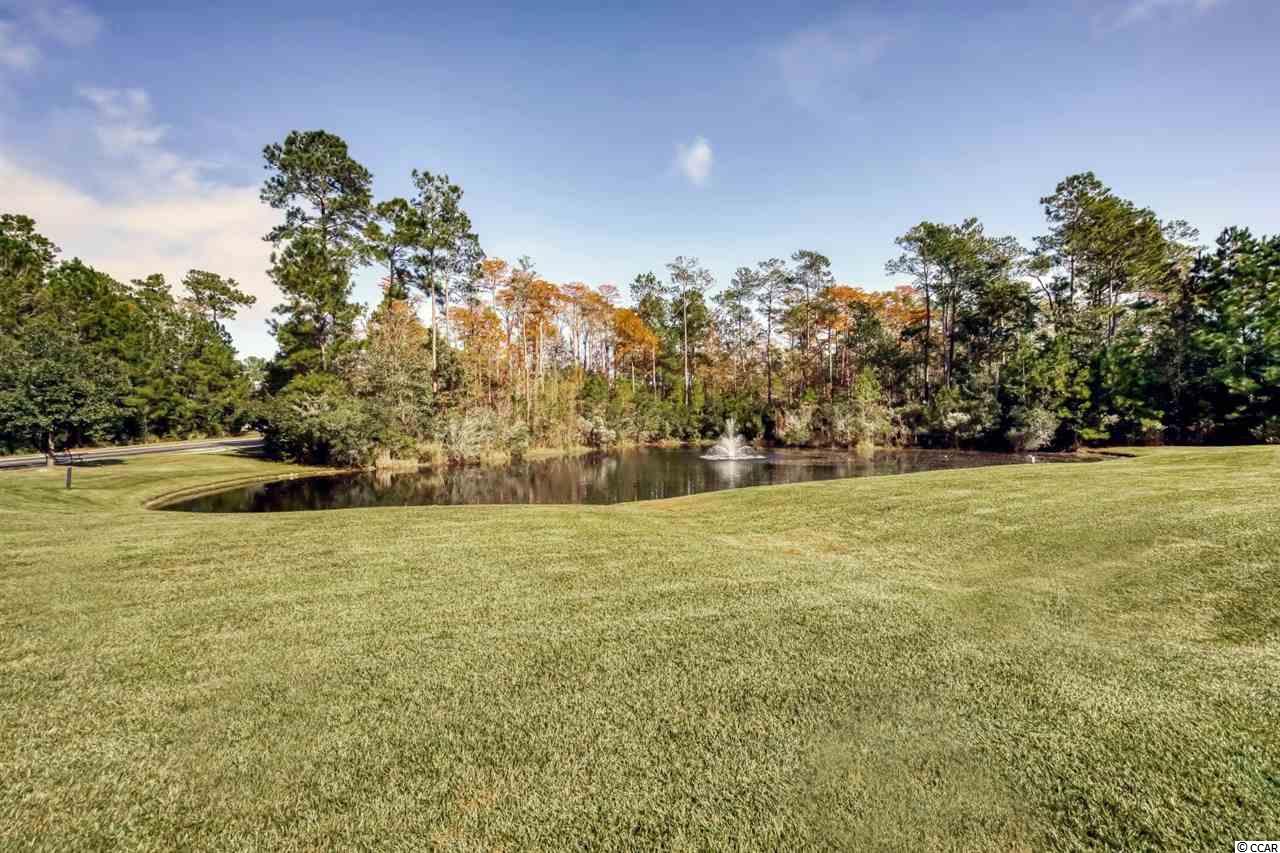 501 Inverrary Street Murrells Inlet, SC 29576 - Photo 33 of 40