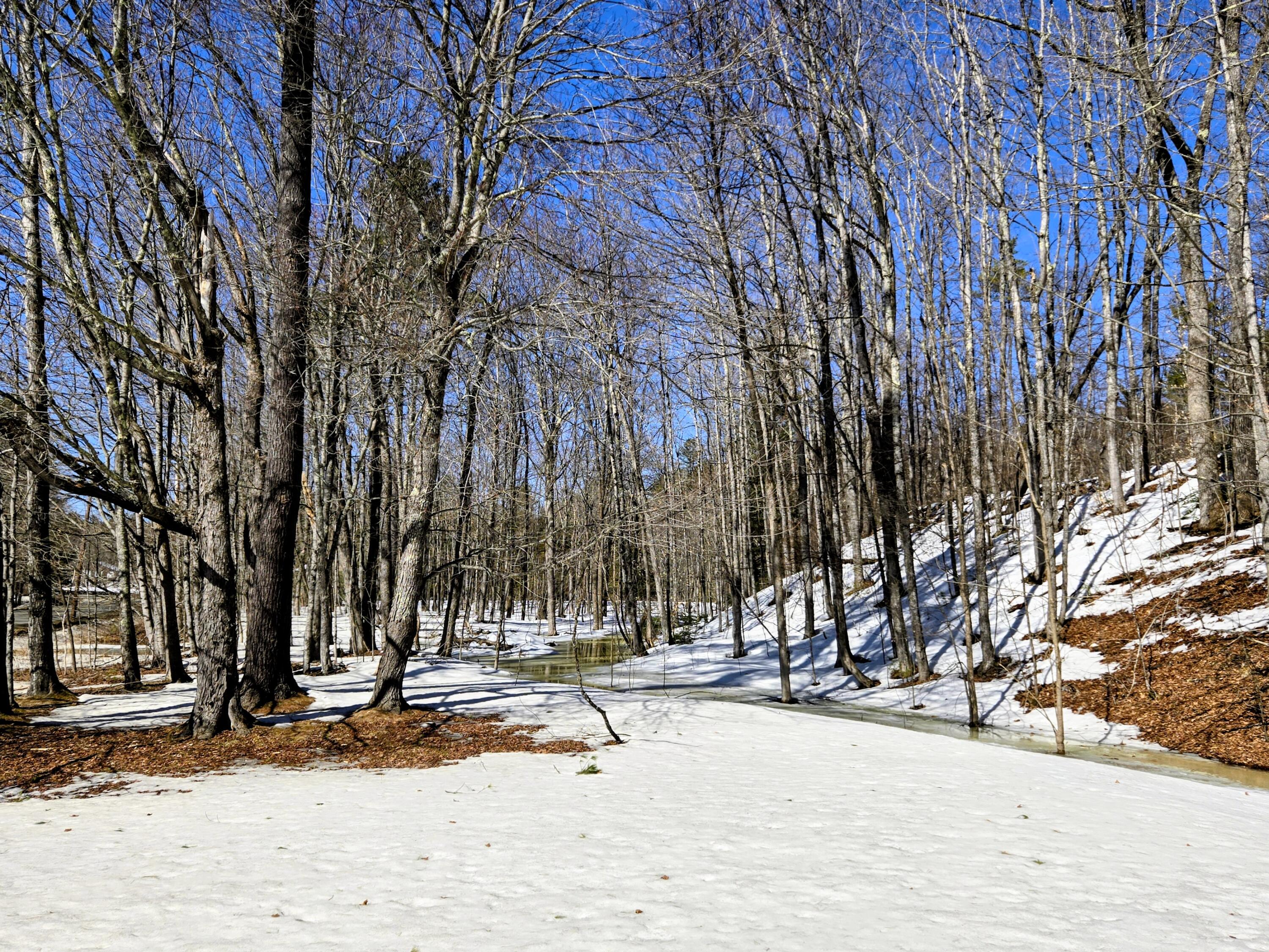 372 River Road Avon, ME 04966 - Photo 32 of 33 372 River Road
