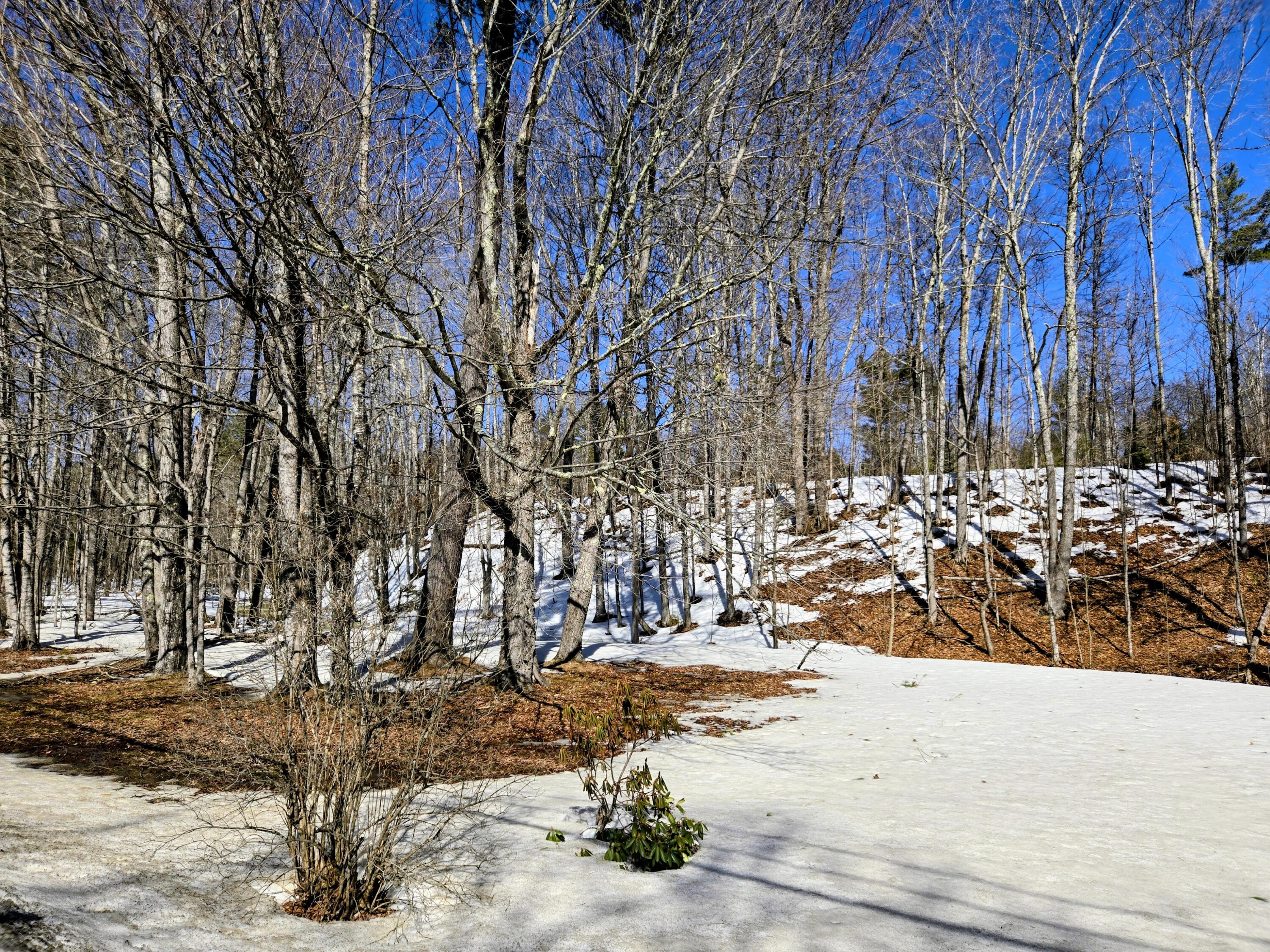 372 River Road Avon, ME 04966 - Photo 33 of 33 372 River Road
