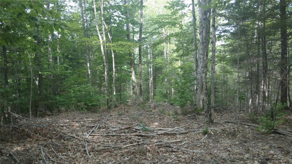 36 Flaggy Meadow Road Gorham, ME 04038 - Photo 14 of 22 Photo