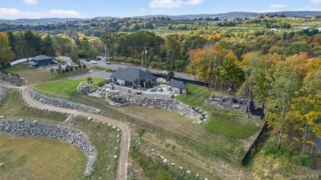 a view of a house with a big yard potted plants and large tree
