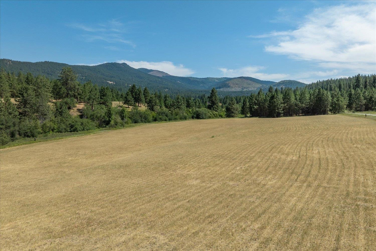 1424 North Idaho Road Liberty Lake, WA 99019 - Photo 49 of 50