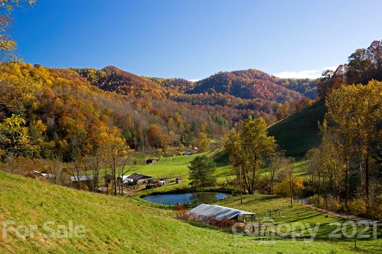 215 Meadow Branch Road Marshall, NC 28753 - Photo 2 of 32 a view of a lush green field