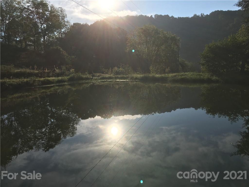215 Meadow Branch Road Marshall, NC 28753 - Photo 13 of 32 a view of lake