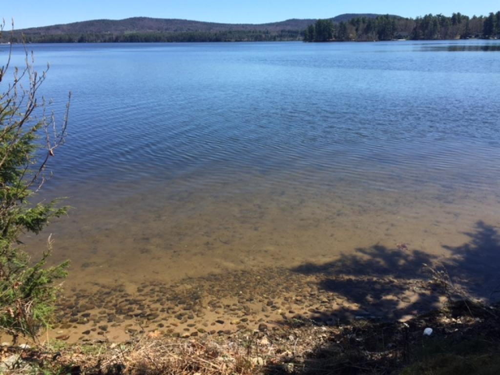 157 Bonnyman Road Effingham, NH 03882 - Photo 5 of 18