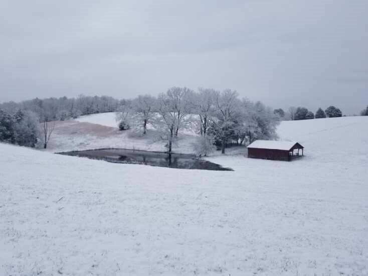 0 John Burch Road West Dunlap, TN 37327 - Photo 16 of 29 a view of a dry yard with a large tree