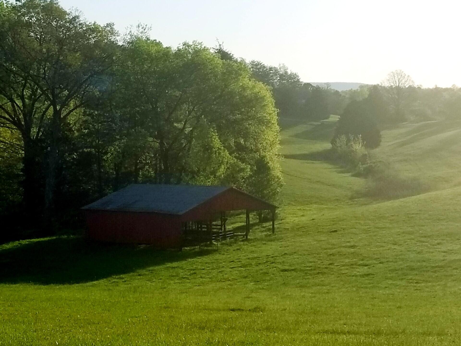 0 John Burch Road West Dunlap, TN 37327 - Photo 17 of 29 a view of a lake with a yard