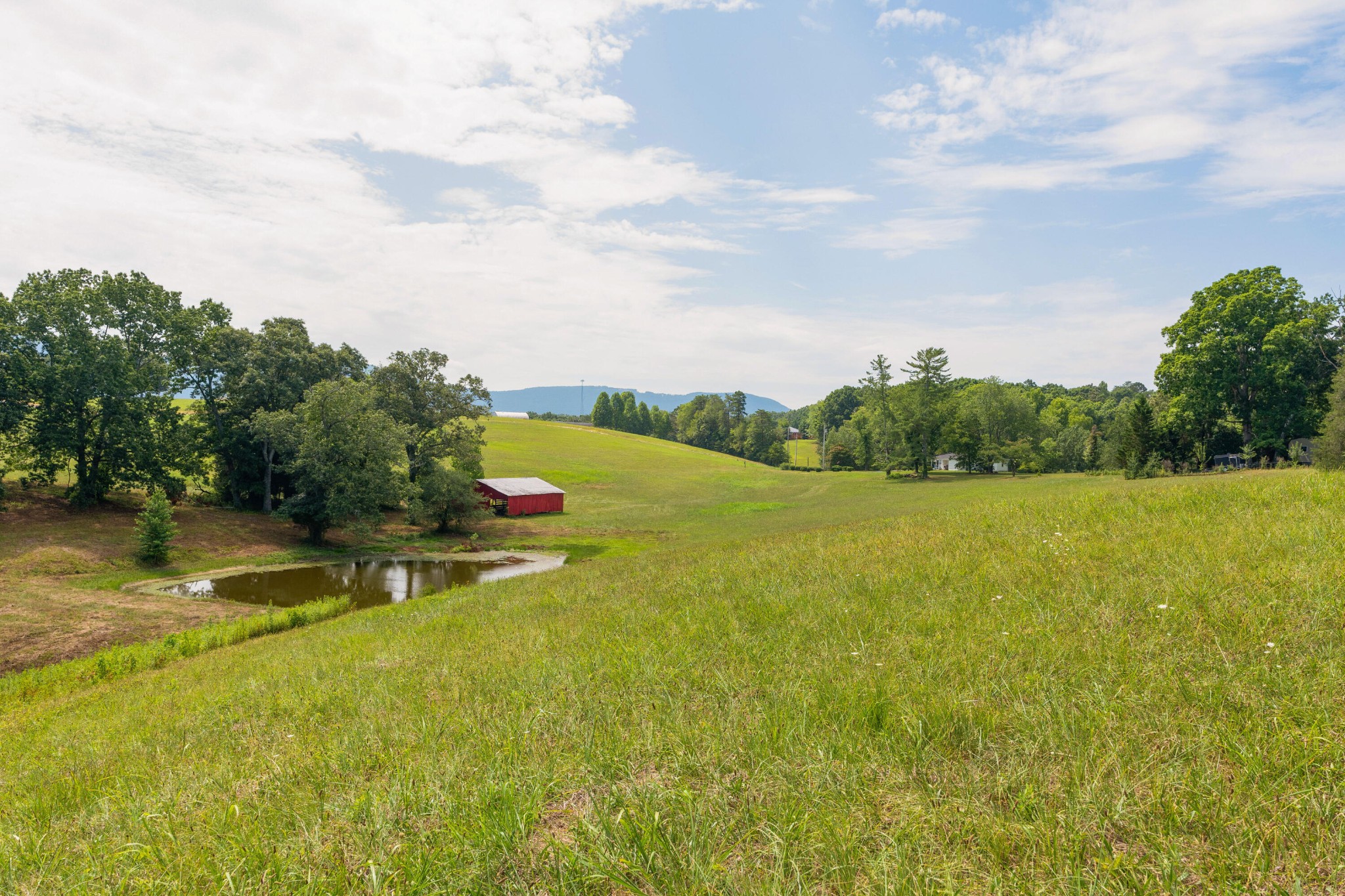0 John Burch Road West Dunlap, TN 37327 - Photo 18 of 29 a view of a lake with lawn chairs and large trees