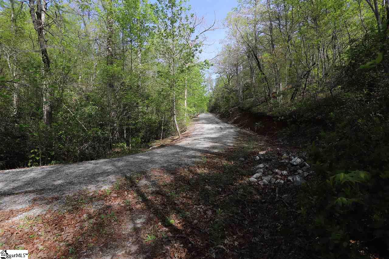 110 Old Altamont Ridge Road Greenville, SC 29609 - Photo 13 of 13