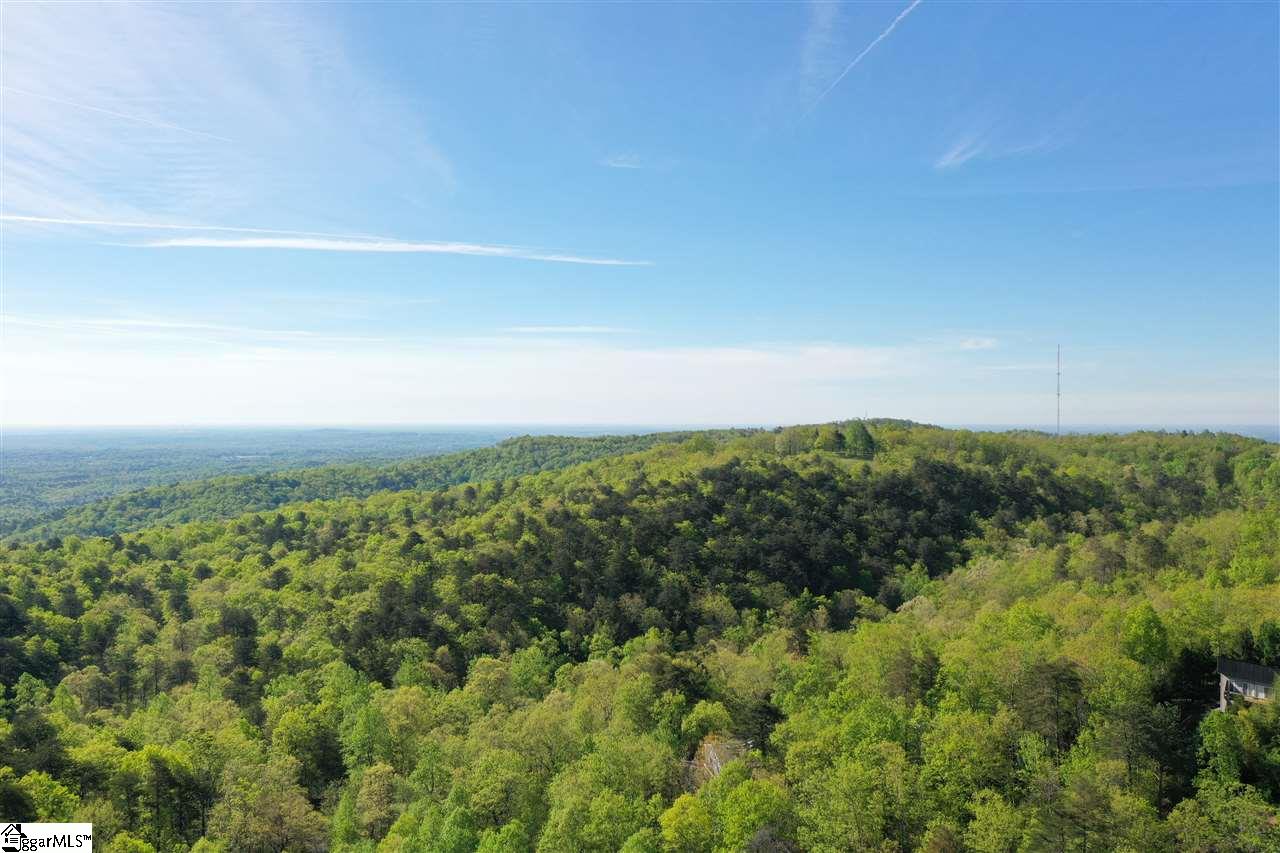 110 Old Altamont Ridge Road Greenville, SC 29609 - Photo 3 of 13