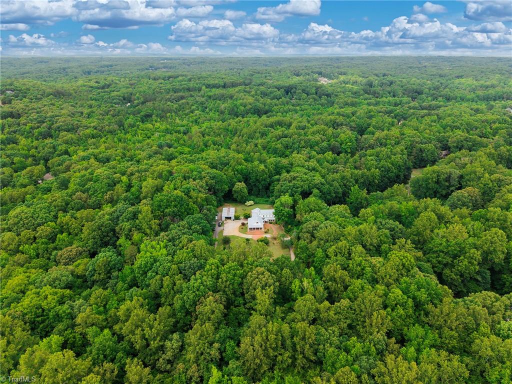 8217 Styers Ferry Road Clemmons, NC 27012 - Photo 48 of 48