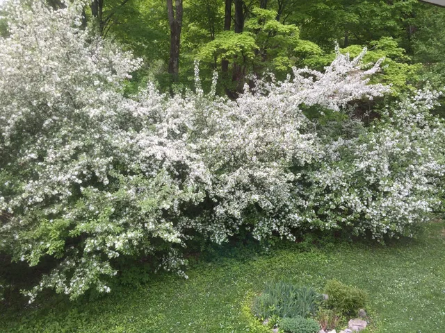 $599,000 | 5100 Vermont Rte 100, Plymouth, VT 05056