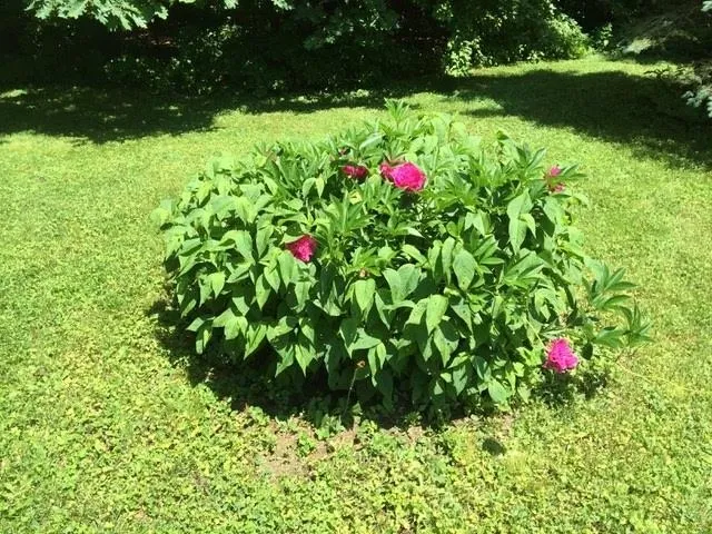 $599,000 | 5100 Vermont Rte 100, Plymouth, VT 05056