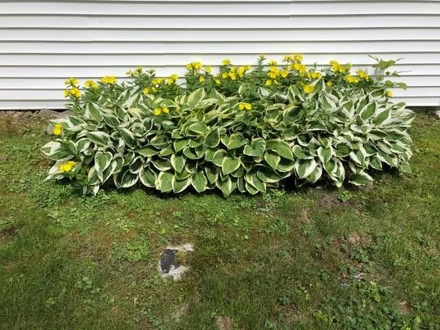 $599,000 | 5100 Vermont Rte 100, Plymouth, VT 05056