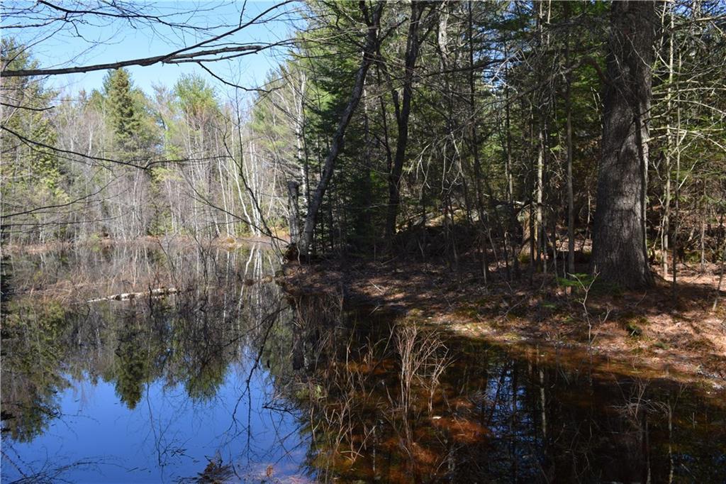 Lot 11 Bennett Pond Road Parkman, ME 04443 - Photo 29 of 35 Photo