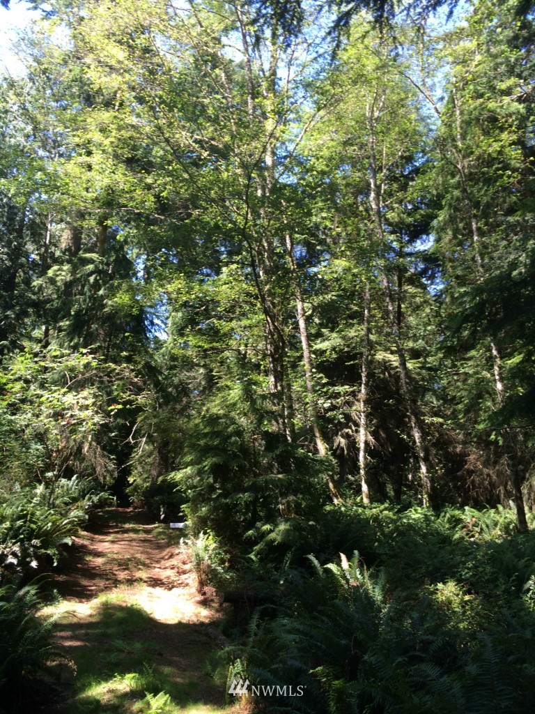 2071 Brainers Road Langley, WA 98260 - Photo 7 of 10