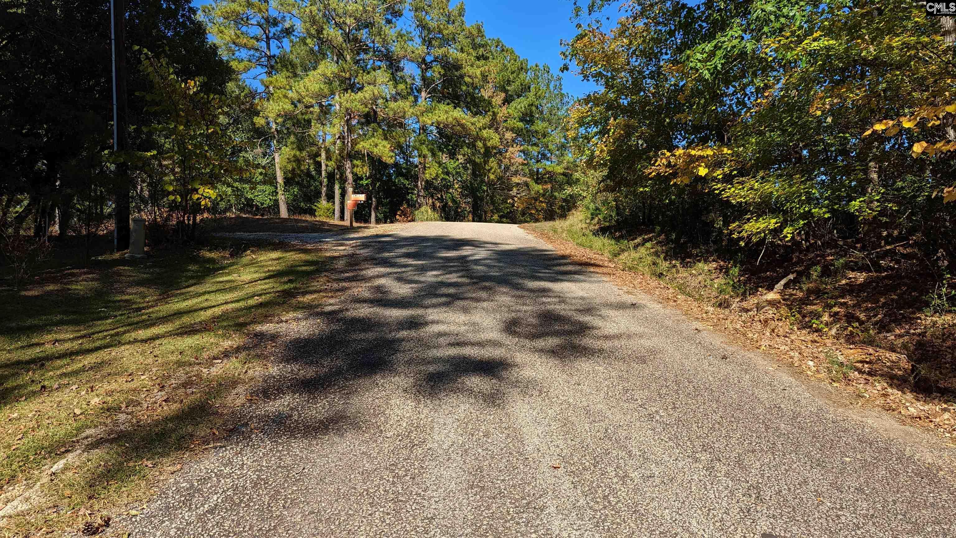 2075 Great North Road Winnsboro, SC 29180 - Photo 46 of 78