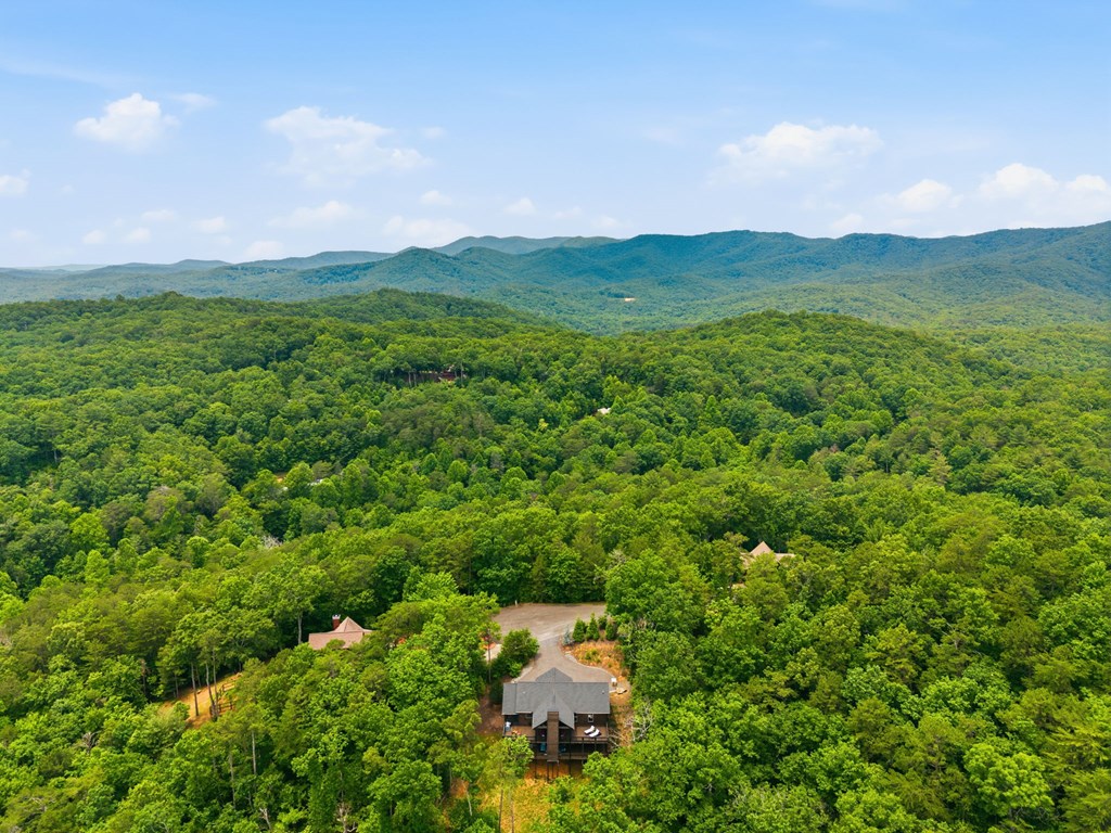 254 Leatherwood Mountain Road Cherry Log, GA 30522 - Photo 100 of 103