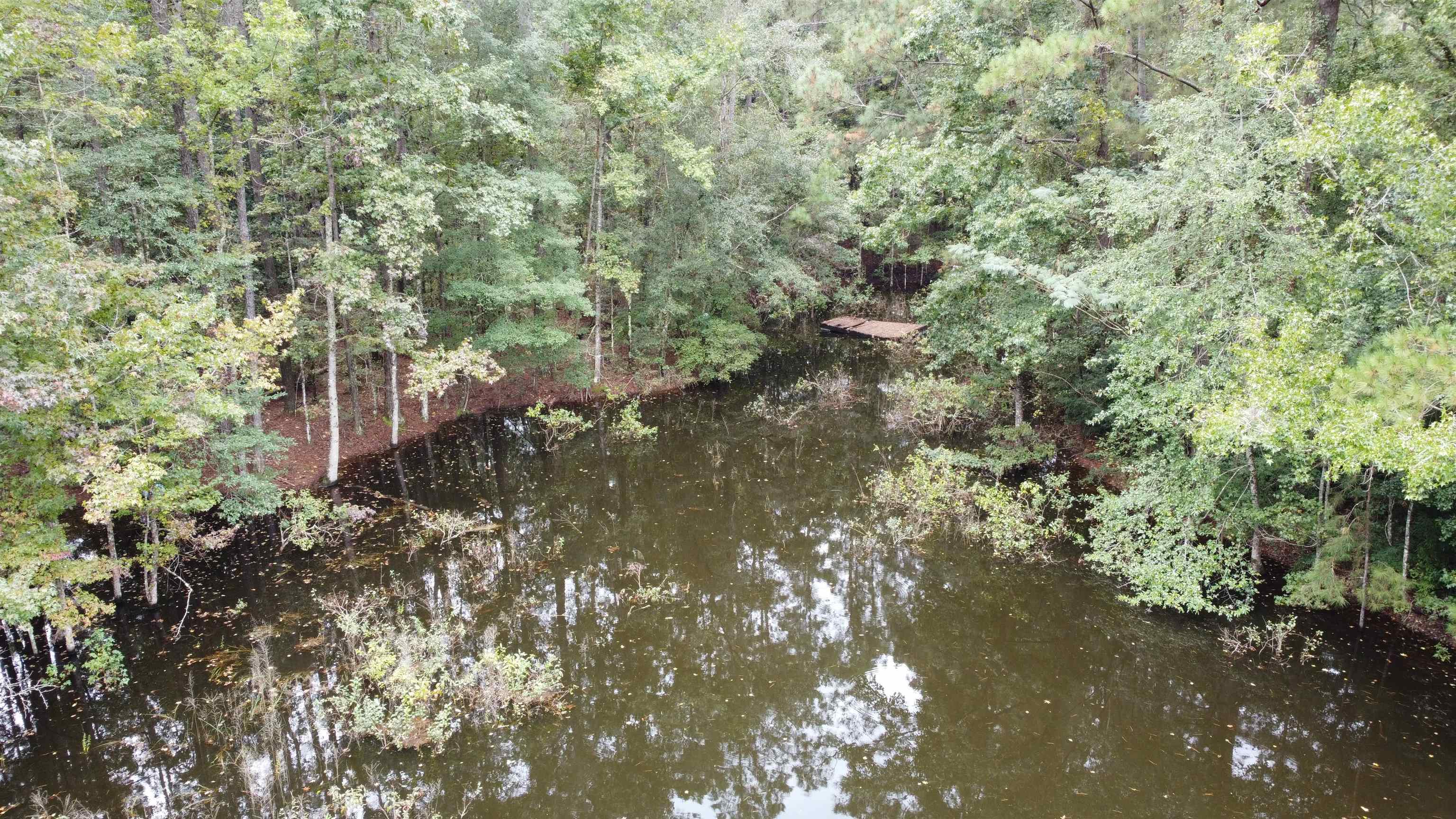 649 Turney Anderson Road Monticello, FL 32344 - Photo 17 of 23 Gallery Image 17