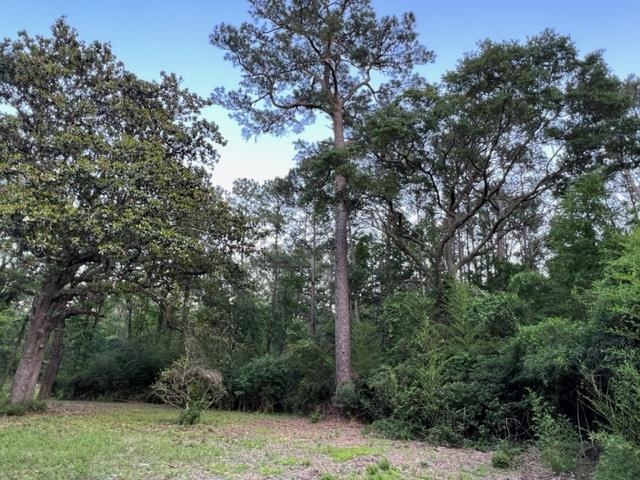 649 Turney Anderson Road Monticello, FL 32344 - Photo 2 of 23 Gallery Image 2