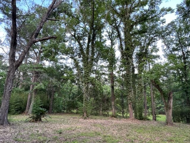 649 Turney Anderson Road Monticello, FL 32344 - Photo 21 of 23 Gallery Image 21