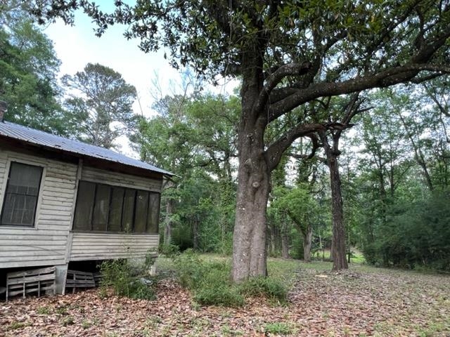 649 Turney Anderson Road Monticello, FL 32344 - Photo 22 of 23 Gallery Image 22