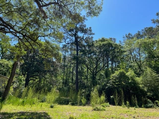 649 Turney Anderson Road Monticello, FL 32344 - Photo 5 of 23 Gallery Image 5