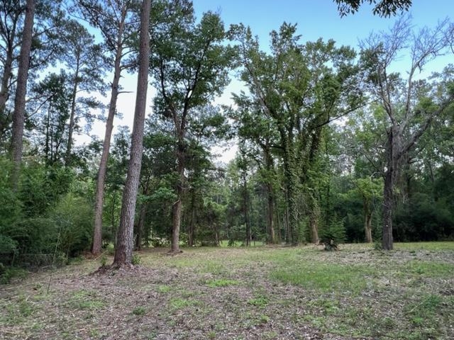 649 Turney Anderson Road Monticello, FL 32344 - Photo 9 of 23 Gallery Image 9