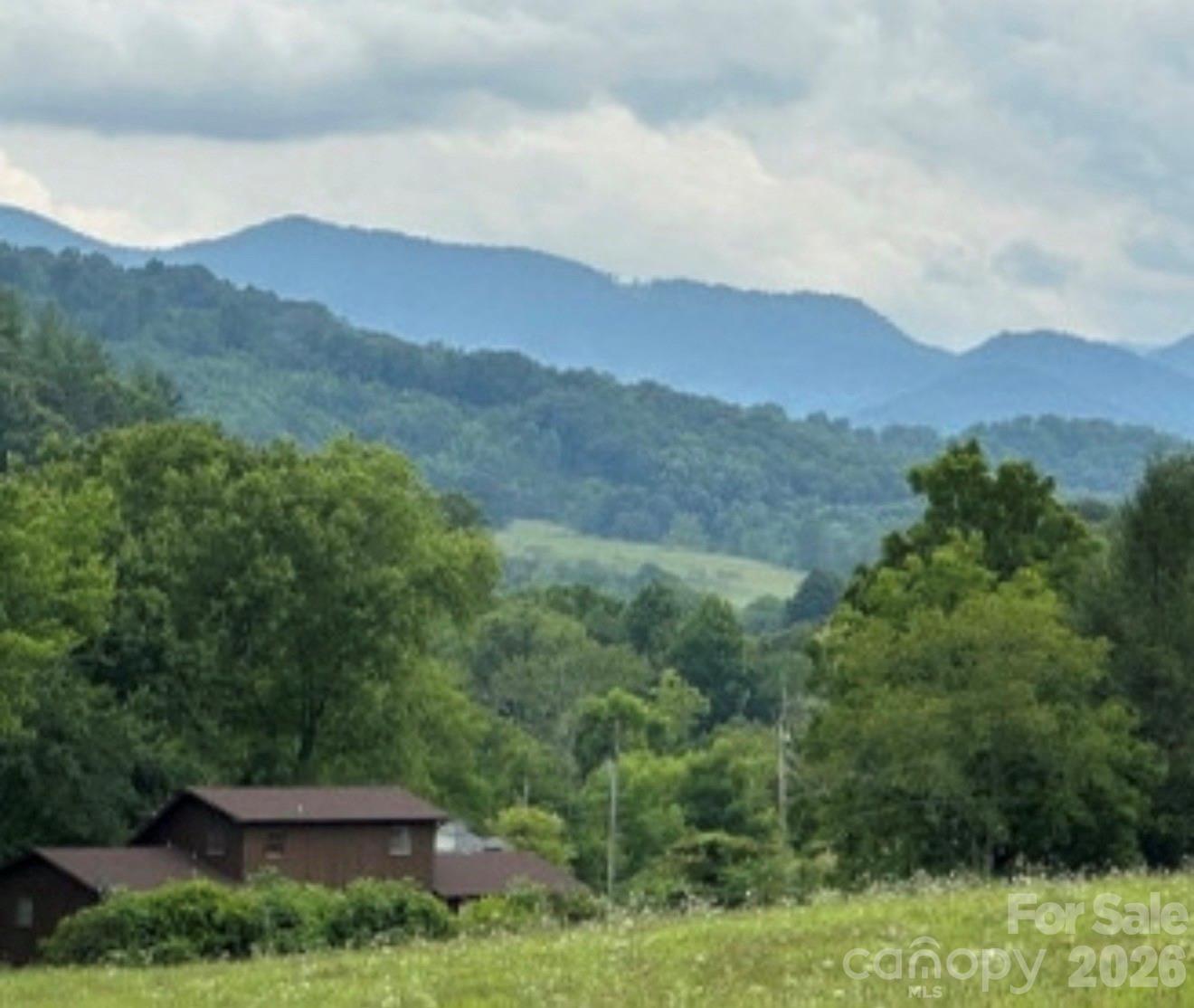 132 Hurd Road Canton, NC 28716 - Photo 15 of 41