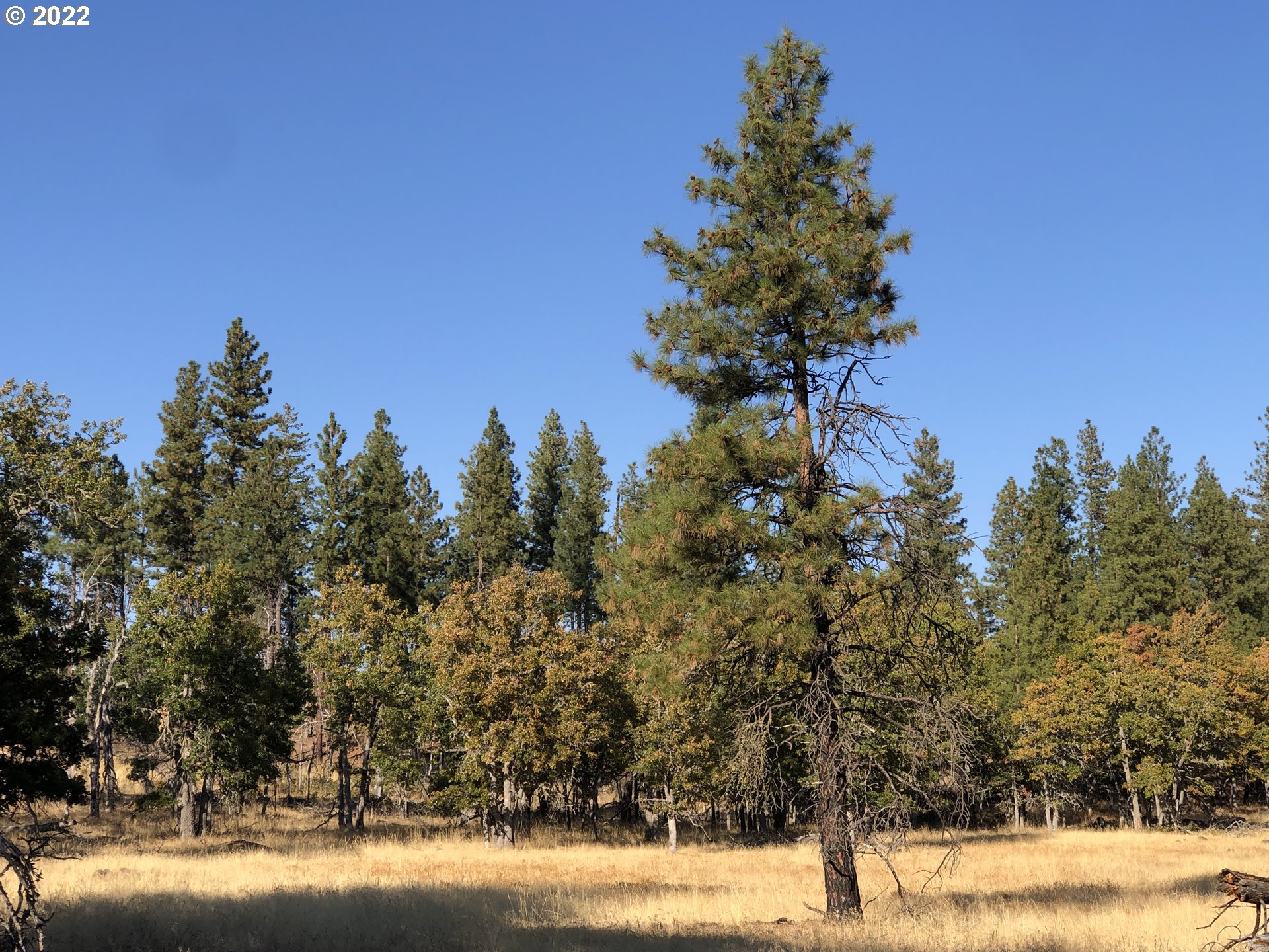 2 England Goldendale, WA 98620 - Photo 2 of 5 Gallery Image 2