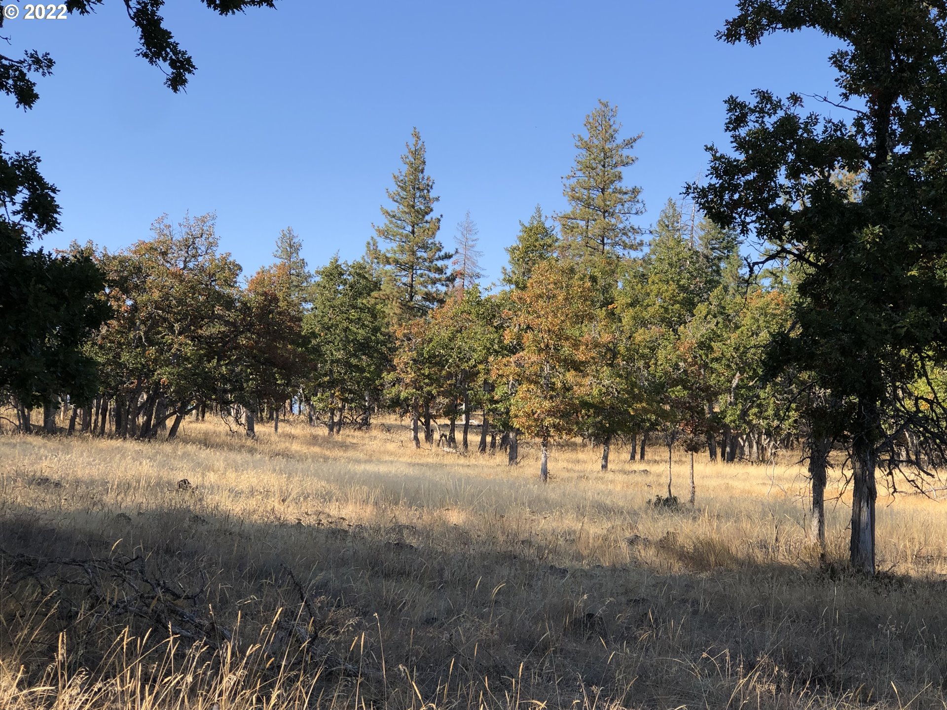 2 England Goldendale, WA 98620 - Photo 3 of 5 Gallery Image 3